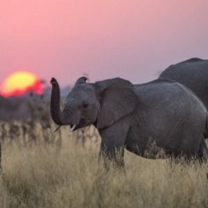 Meet your Posher, Kaylee